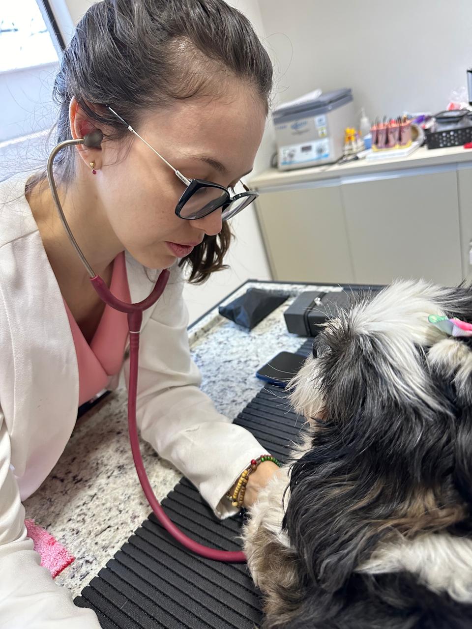 Dra. Paula atendendo um cão